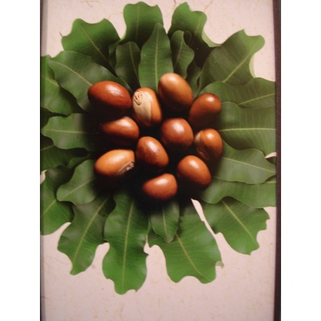 Beurre de karité Bio Équitable 250 gr