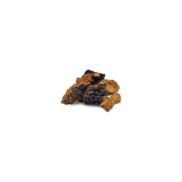 Chaga (morceaux) - Inonotus obliquus