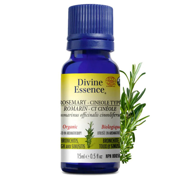 Romarin Type Cinéole Biologique (Rosmarinus officinalis) — 15 ml