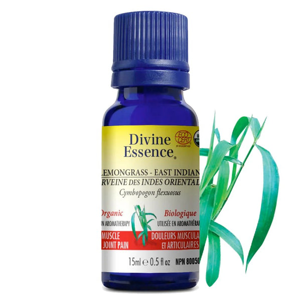 Verveine des Indes Orientales (Cymbopogon flexuosus) — 15 ml