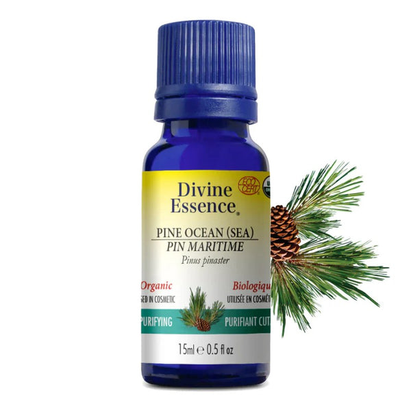 Pin Maritime Biologique (Pinus pinaster) — 15 ml