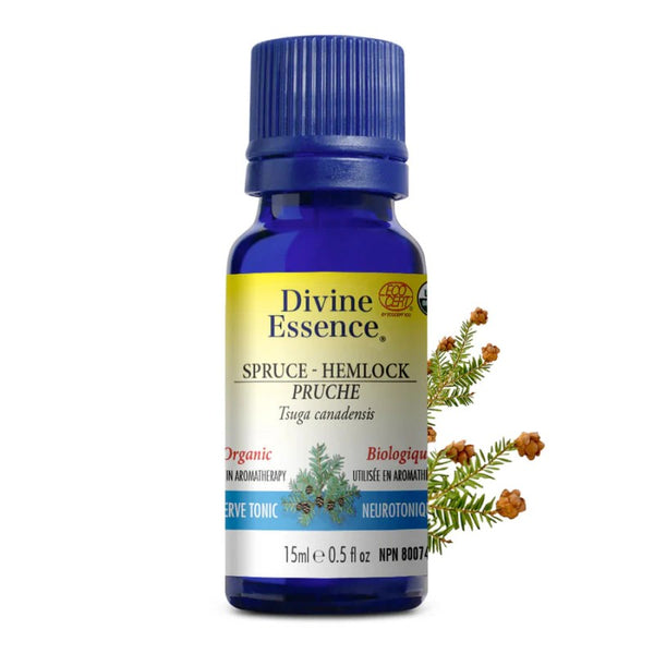 Pruche Biologique (Tsuga canadensis) — 15 ml