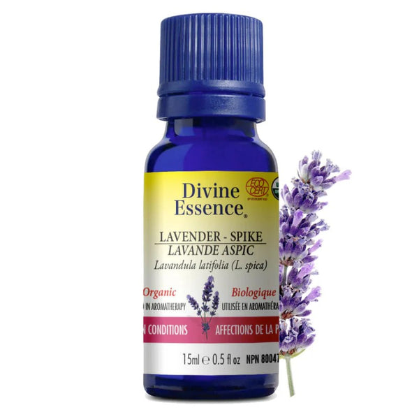 Lavande Aspic Biologique (Lavandula latifolia) — 15 ml