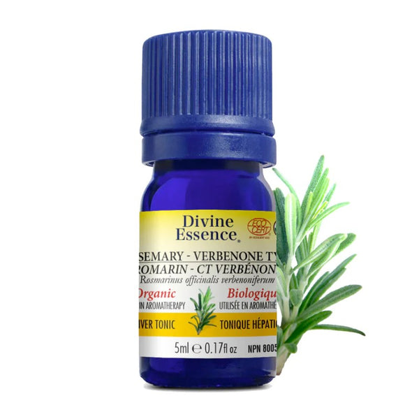 Romarin Type Verbénone Biologique (Rosmarinus officinalis) — 5 ml