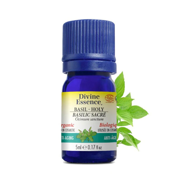 Basilic Sacré Biologique (Ocimum sanctum) — 5 ml