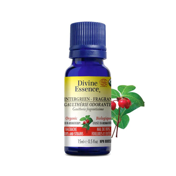 Gaulthérie Odorante Bio (Gaultheria fragrantissima) — 15 ml