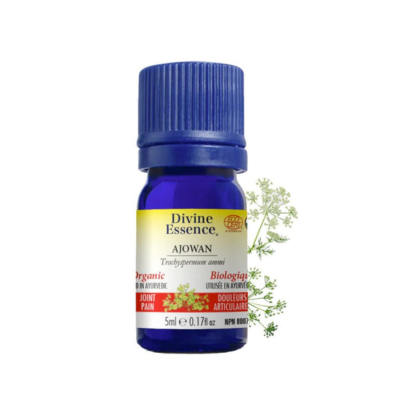 Ajowan (Trachyspermum ammi) — 5 ml