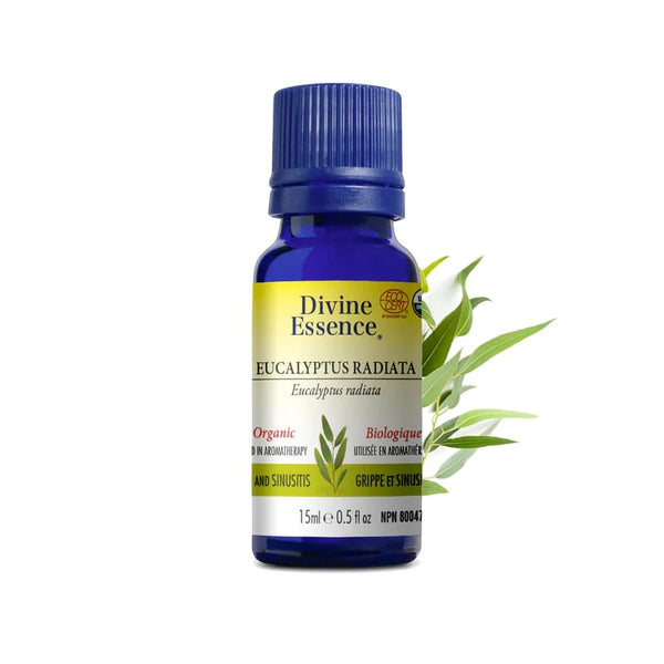 Eucalyptus Radiata Biologique (Eucalyptus radiata) — 15 ml