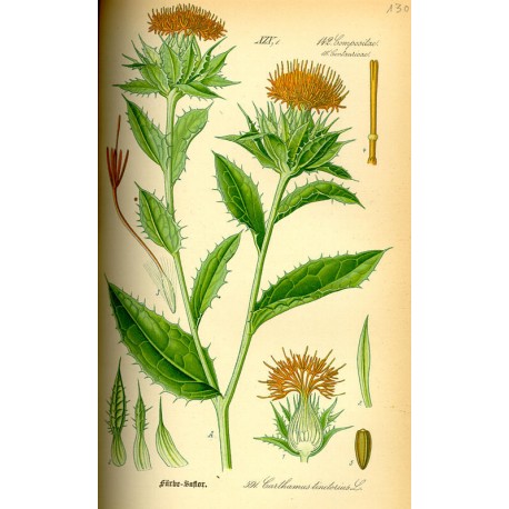 Carthame (Carthamus tinctorius) séchée en vrac