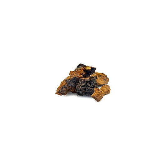 Chaga séchée en vrac — Herboristerie Desjardins