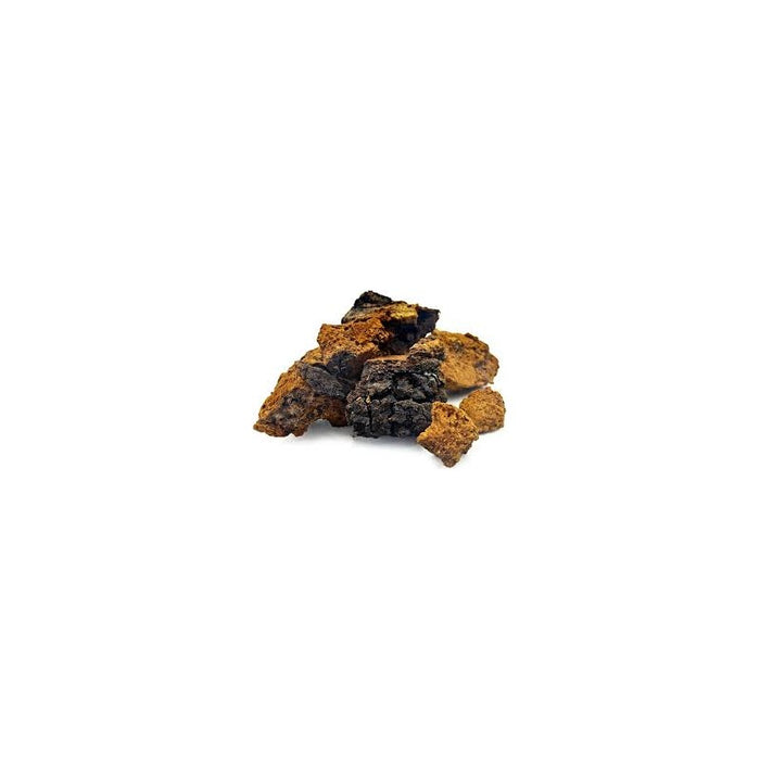 Chaga séchée en vrac — Herboristerie Desjardins