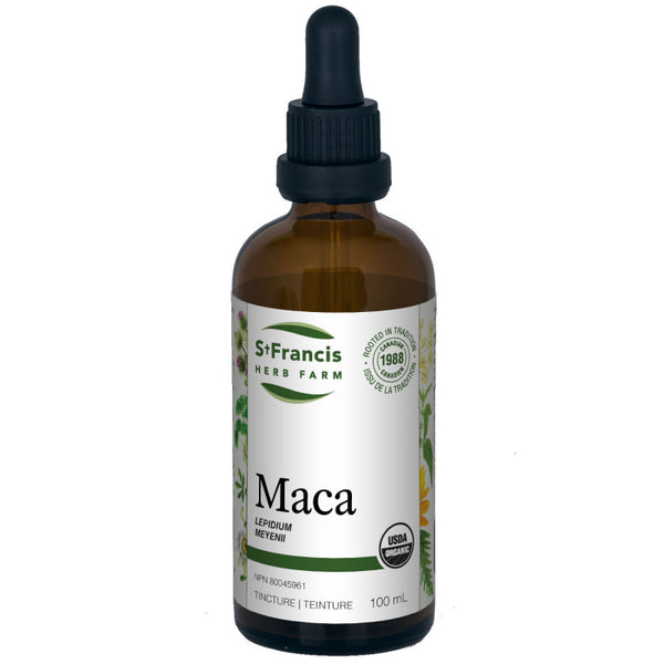 Maca — teinture mère 50 ml