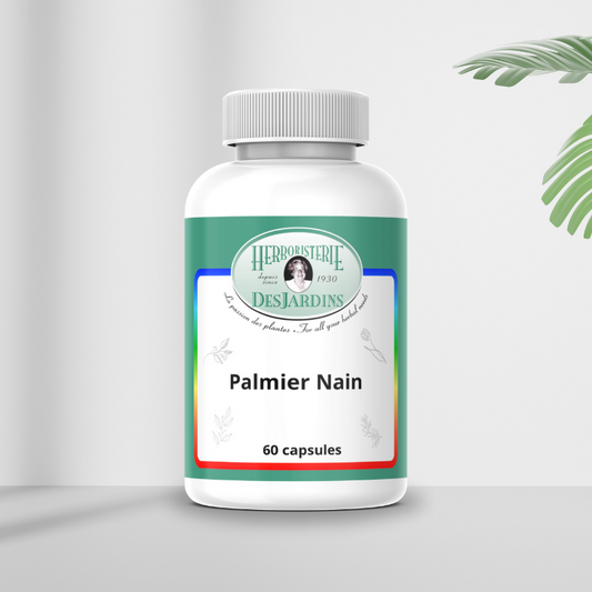Palmier nain 500 mg. 60 capsules ( NPN ) 80001981 — Herboristerie Desjardins