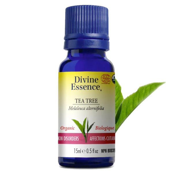 Tea Tree Biologique (Melaleuca alternifolia) — 15 ml