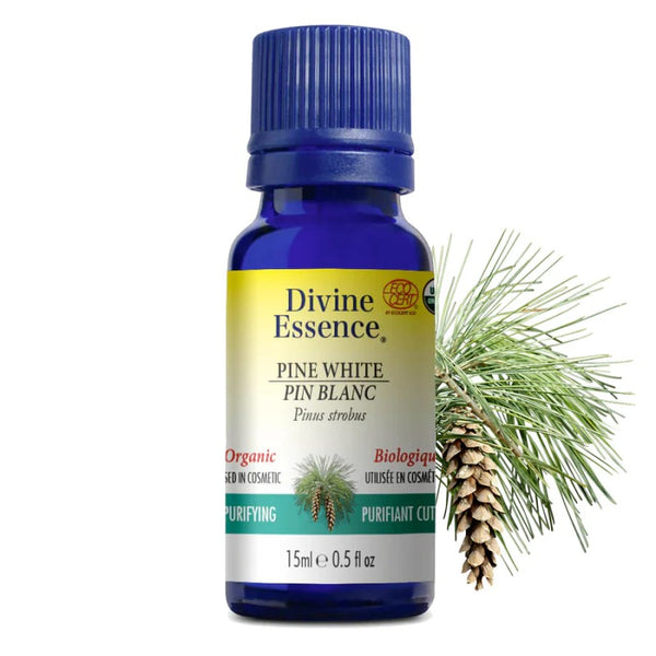 Pin Blanc Biologique (Pinus strobus) — 15 ml