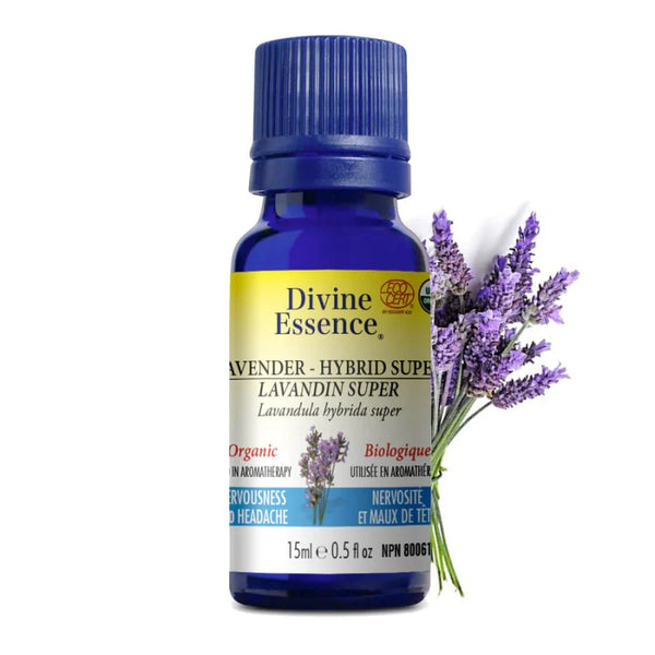 Lavandin super Biologique (Lavandula x intermedia) — 15 ml