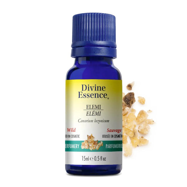 Elémi sauvage (Canarium luzonicum) — 15 ml