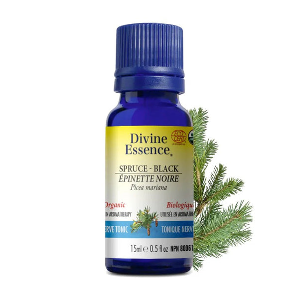 Épinette Noire Biologique (Picea mariana) — 15 ml