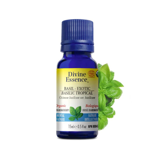 Basilic Tropical Biologique (Ocimum basilicum) — 15 ml