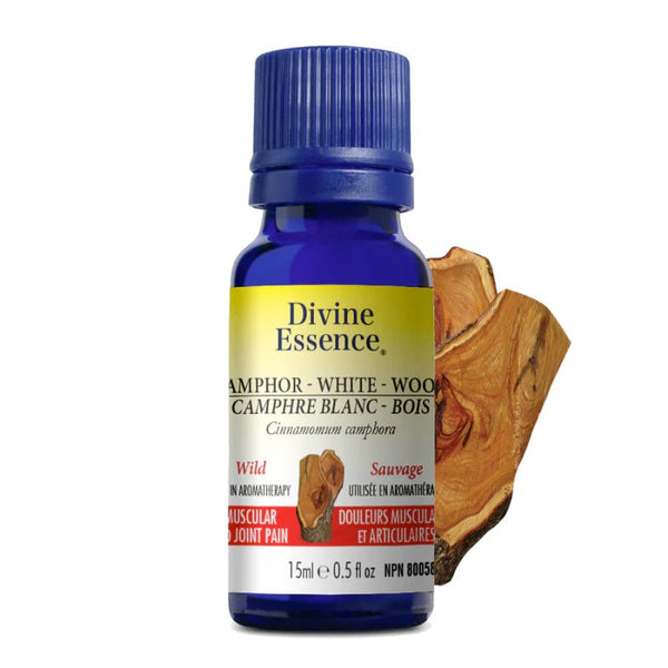 Camphre Blanc Bois Sauvage (Cinnamomum camphora) — 15 ml