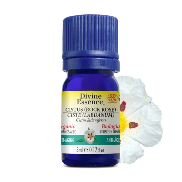 Ciste (Labdanum) Biologique (Cistus ladaniferus) — 15 ml