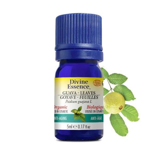 Goyave Feuilles Biologique (Psidium guajava) — 5 ml