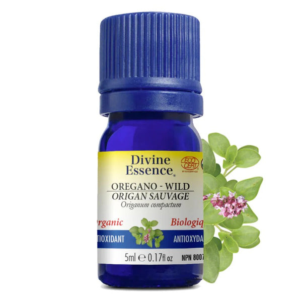 Origan Sauvage Biologique (Origanum vulgare) — 5 ml