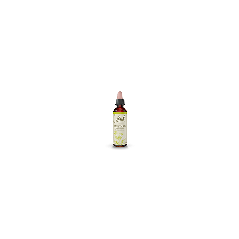 Fleurs de Bach Moutarde 20 ml — Herboristerie Desjardins