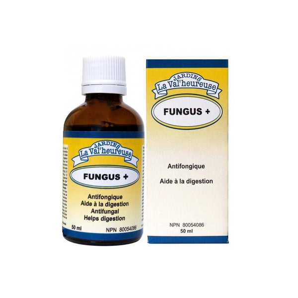 FUNGUS+ — teinture mère