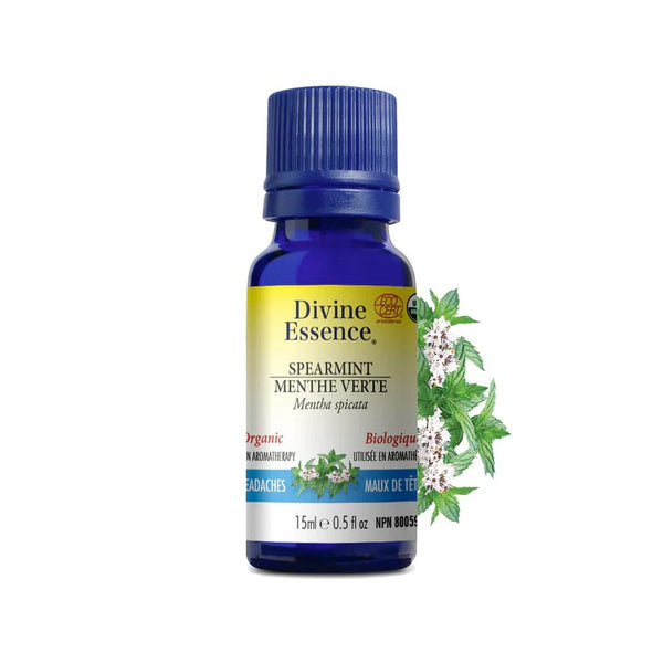 Menthe Verte Biologique (Mentha spicata) — 15 ml