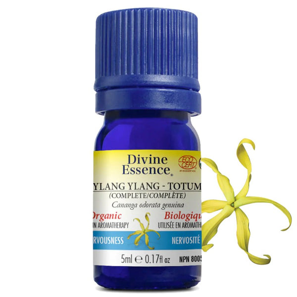 Ylang Ylang totum Biologique (Cananga odorata) — 5 ml