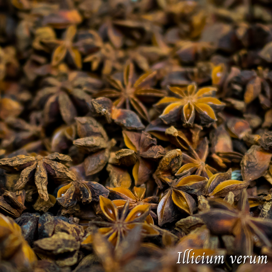 Mélange Maison Anis (Illicium verum)